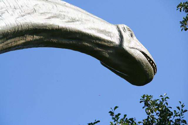 116 der Kopf des Saurier.jpg